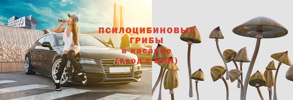 ГАЛЛЮЦИНОГЕННЫЕ ГРИБЫ Лихославль