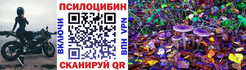 Галлюциногенные грибы Cubensis  купить  сайты  Лысьва 