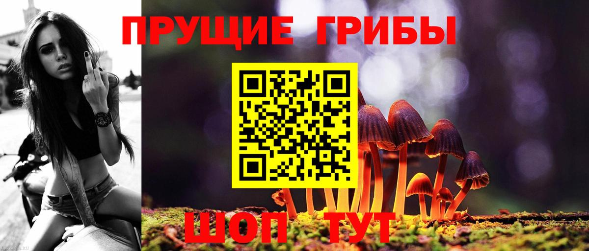 что такое   Вход с VPN  Лысьва  Псилоцибиновые грибы MAGIC MUSHROOMS 
