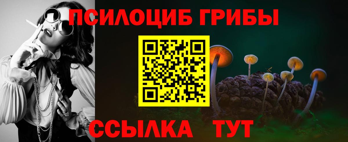Псилоцибиновые грибы MAGIC MUSHROOMS Лысьва